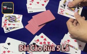 Bài Cào Rùa 5 Lá